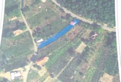 Casă în Orașu Nou
