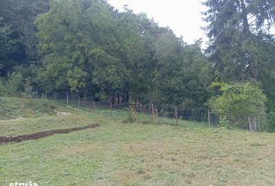 Casă cu 3 camere cu Teren 1106 Mp în Central