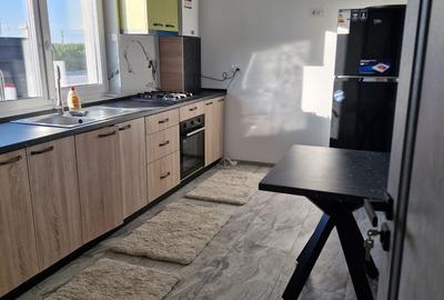 Casă cu 3 camere cu Teren 250 Mp în Balciu - 2