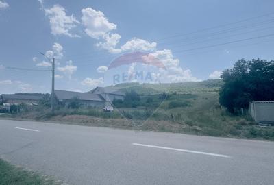 Teren Construcții intravilan de 3700 mp, în Coțofenii din Dos - 2