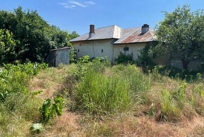 Teren Construcții intravilan de 17700 mp, în Gura Foii - 2