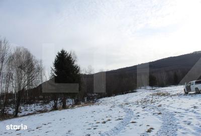 Teren de 11600 mp, în Central - 2