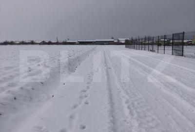 Teren Construcții intravilan de 12000 mp, în Nord-Vest