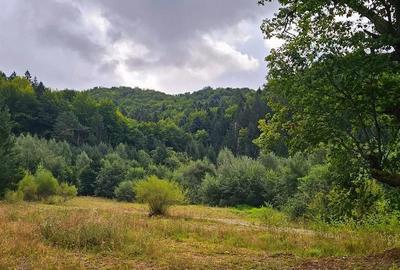 Teren de 550 mp, în Central