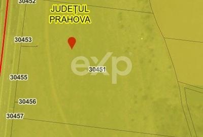 Teren de 18577 mp, în Central