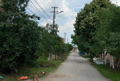 Teren de 2595 mp, în Pișchia - 8