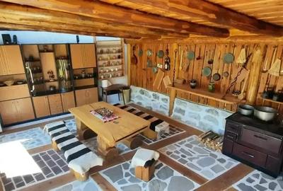 Spațiu comercial, de 723 mp, în Valea Cricovului - 7