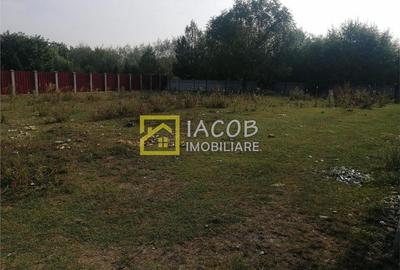Teren Construcții intravilan de 993 mp, în Șerbănești - 1
