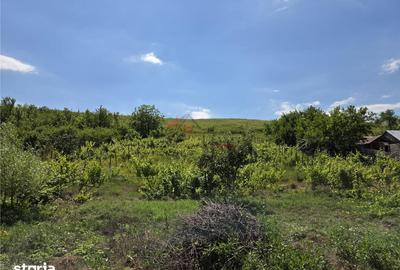 Teren de 4800 mp, în Tomești