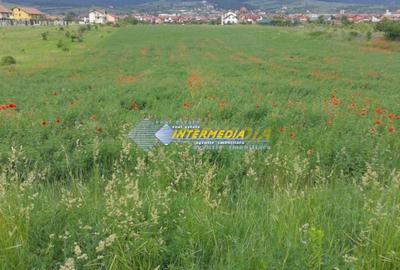 Teren Construcții intravilan de 4300 mp, în Cetate