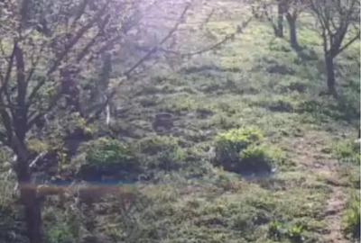 Teren în Poiana Sărată - 2