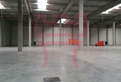 Spațiu industrial, de 600 mp, în Câmpenești - 3