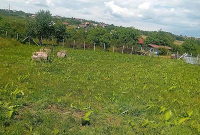 Teren de 500 mp, în Daia