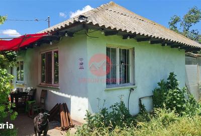 Casă cu 2 camere cu Teren 1711 Mp în Topraisar - 4