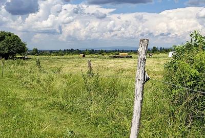 Teren agricol intravilan de 1900 mp, în 13 Decembrie - 2