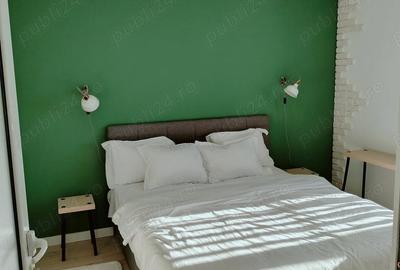 Apartament cu 2 camere semidecomandat în Baba Novac - 8