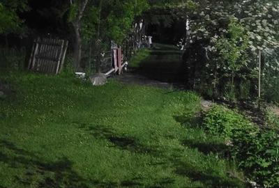 Casă cu 3 camere în Cosminele - 2