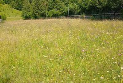 Teren de 2700 mp, în Valea Doftanei