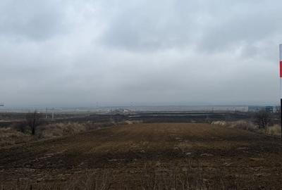 Teren de 12500 mp, în Nicolae Bălcescu - 3