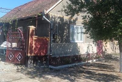 Casă cu 3 camere cu Teren 1400 Mp în Cermei