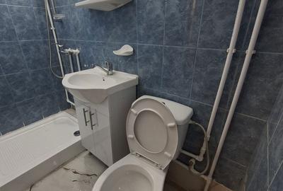Garsonieră decomandată în Podu Roș - 2
