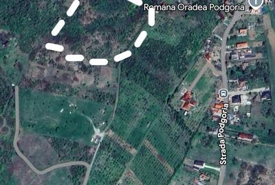 Teren de 4754 mp, în Podgoria
