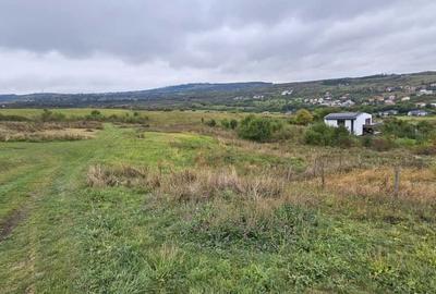 Teren Construcții intravilan de 2876 mp, în Borhanci - 2