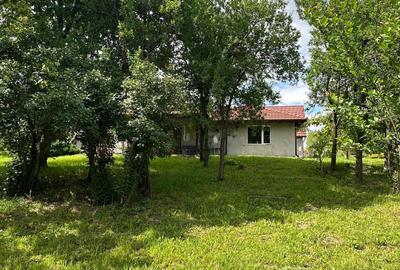 Casă individuală cu 13 camere cu Canalizare în Viile Satu Mare - 1