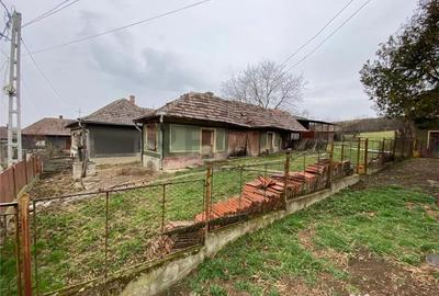 Casă cu 3 camere cu Teren 3272 Mp în Cubulcut - 4