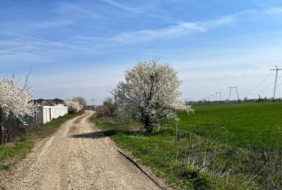 Teren Construcții intravilan de 2448 mp, în Est - 5