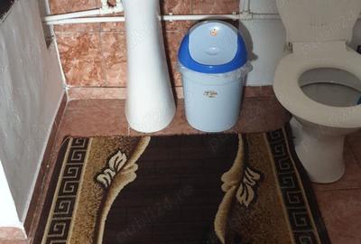 Casă cu 4 camere cu Teren 6000 Mp în Seaca - 1