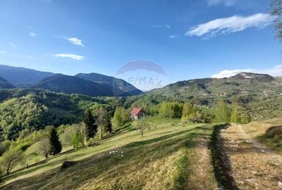 Teren Construcții intravilan de 1798 mp, în Peștera - 1