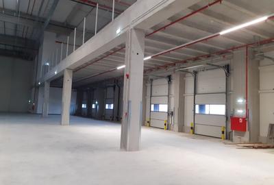 Spațiu industrial, de 3,000 mp, în Ștefăneștii de Jos