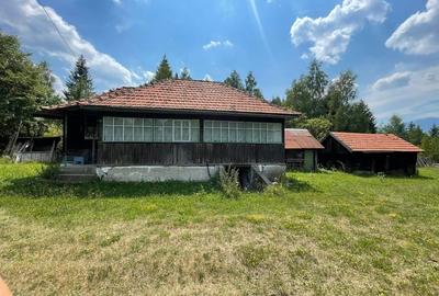 Teren de 4534 mp, în Câmpu lui Neag - 6