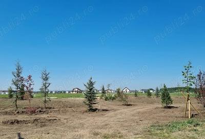 Teren de 7000 mp, în Samurcași - 10