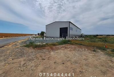 Teren de 2281 mp, în Lumina - 4