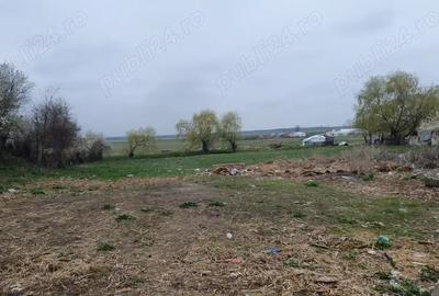 Teren de 2980 mp, în Vasilați - 3