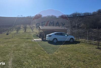 Teren de 2900 mp, în Blăjel - 4