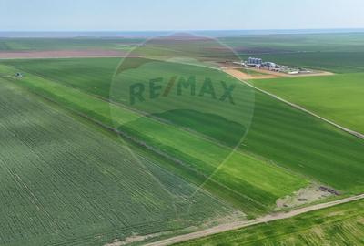 Teren agricol extravilan de 60000 mp, în Săcele - 12