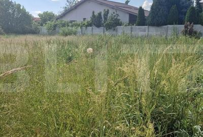 Teren de 600 mp, în Bordei - 1