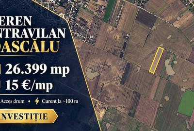 Teren de 26400 mp, în Dascălu