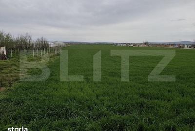 Teren de 8600 mp, în Podgoria - 2