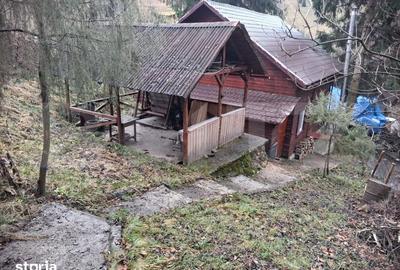 Casă cu 5 camere cu Teren 370 Mp în Mihai Viteazu - 5