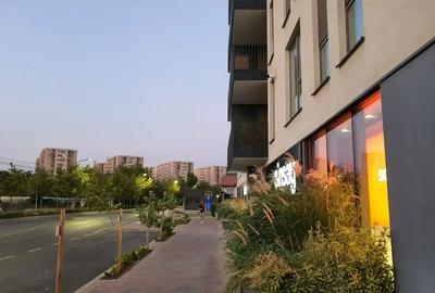 Apartament cu 3 camere decomandat în Theodor Pallady