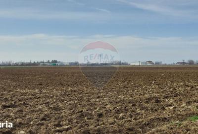 Teren de 5000 mp, în Moara Vlăsiei