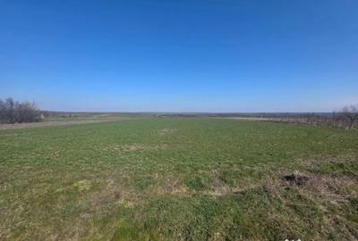 Teren de 3800 mp, în Central - 3