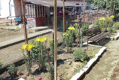Casă cu Teren 10 Mp în Dobra - 5
