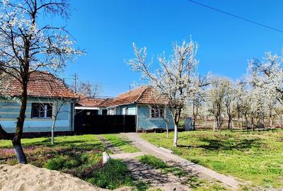 Casă cu 4 camere în Berechiu - 4