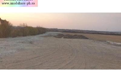 Teren Construcții intravilan de 618 mp, în Bucov - 2