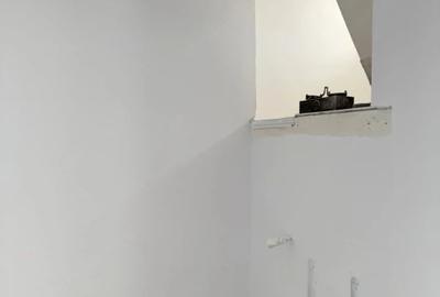Casă cu 3 camere cu Teren 1500 Mp în Iosia
